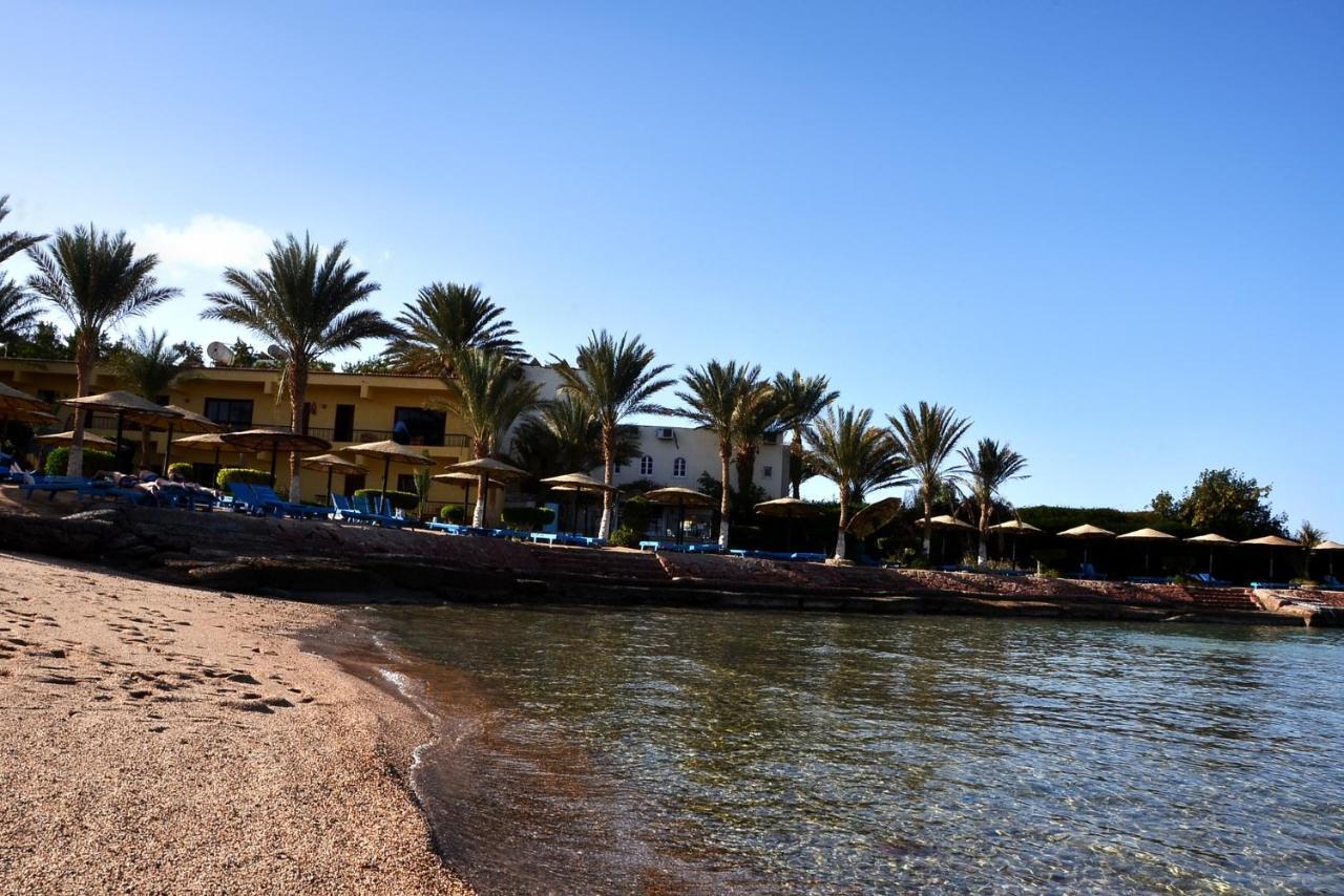 Sand Beach Resort フルガダ エクステリア 写真
