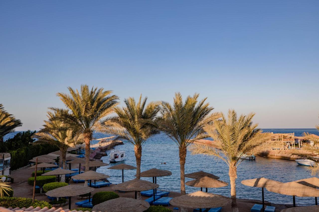 Sand Beach Resort フルガダ エクステリア 写真